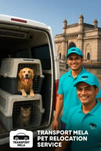 packers and movers pet relocation